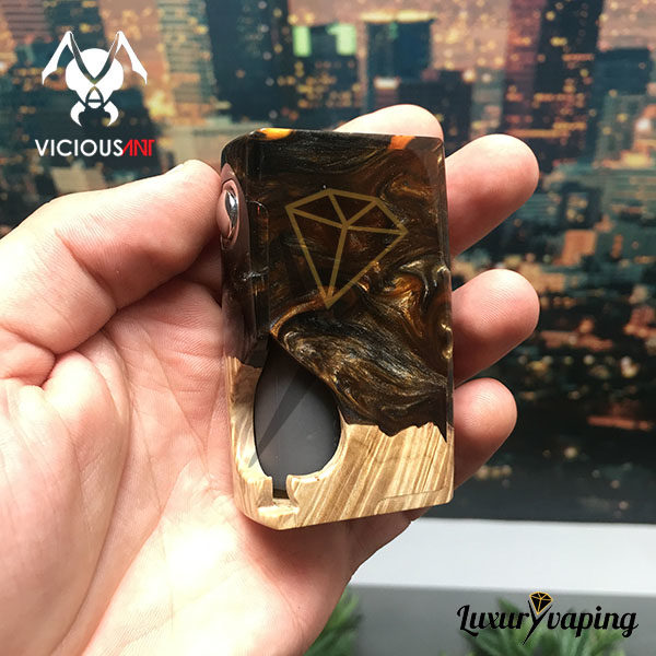 Spade Stabwood 243 Bottom Feeder Vicious Ant BF