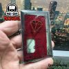 Frankenskull Door Plexi Red 21700
